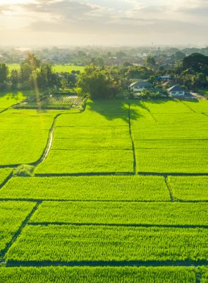 Lĩnh vực đất đai