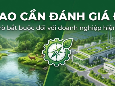 TẠI SAO CẦN ĐÁNH GIÁ ĐTM? VAI TRÒ BẮT BUỘC ĐỐI VỚI DOANH NGHIỆP HIỆN NAY